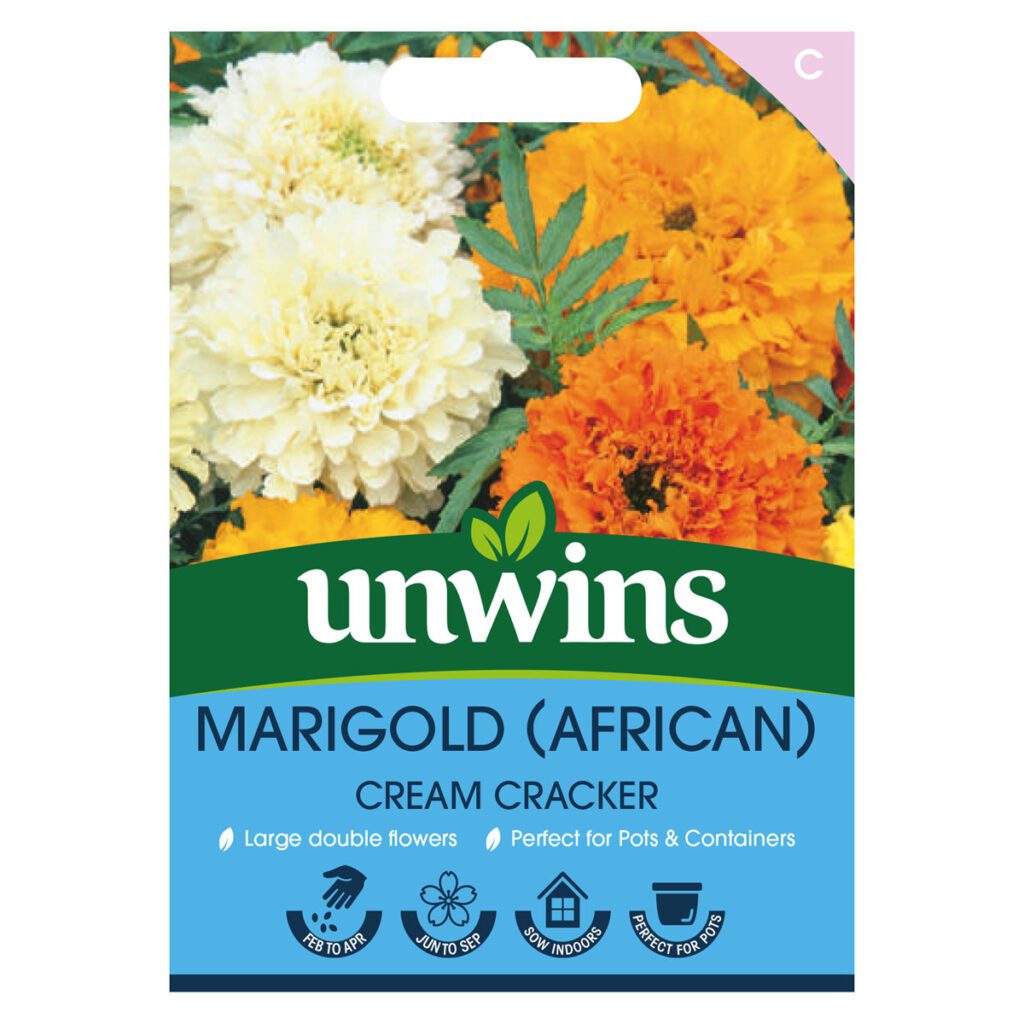 Unwins African Marigold Cream Cracker Seeds 5051618011570 2